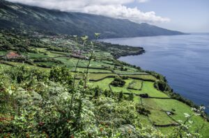 Lush green terraced fields on Pico Island's coastline, with the blue Atlantic Ocean and mist-covered mountains in the background. The landscape highlights the agricultural beauty of Pico Island, a gem in the Azores archipelago.