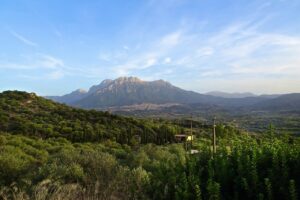 Panoramic view of the lush green landscape of Sardinia with the town of Nuoro and a mountain range in the background under a clear blue sky.