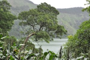 sao-miguel-hiking