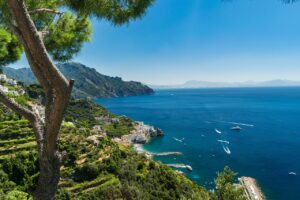 View of the Amalfi Coast in Italy with a tree in the foreground, terraced hillsides, and a vibrant blue sea dotted with boats.